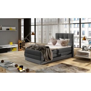 Aster 90x200