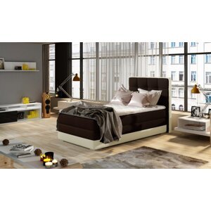 Aster 90x200