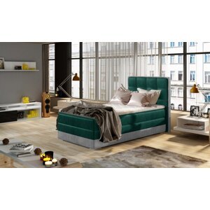 Aster 90x200