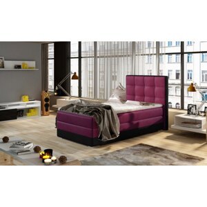 Aster 90x200