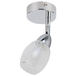 Nástenná lampa 1X6W SMD okrúhla hlava s kĺbovým vymeniteľným tienidlom chróm/číra RICO
