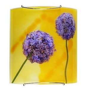 Nástenná lampa 1X60W E27 viacfarebná CESNAK